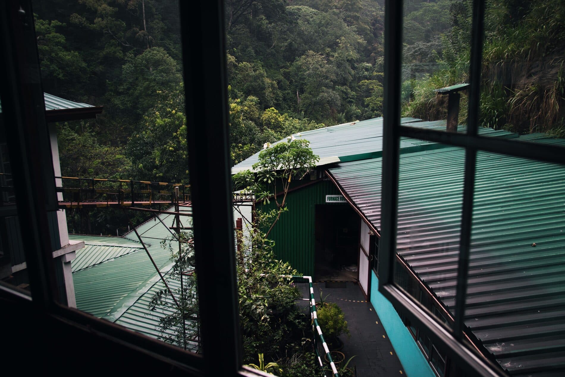 View over green hill-country rooftops and forest