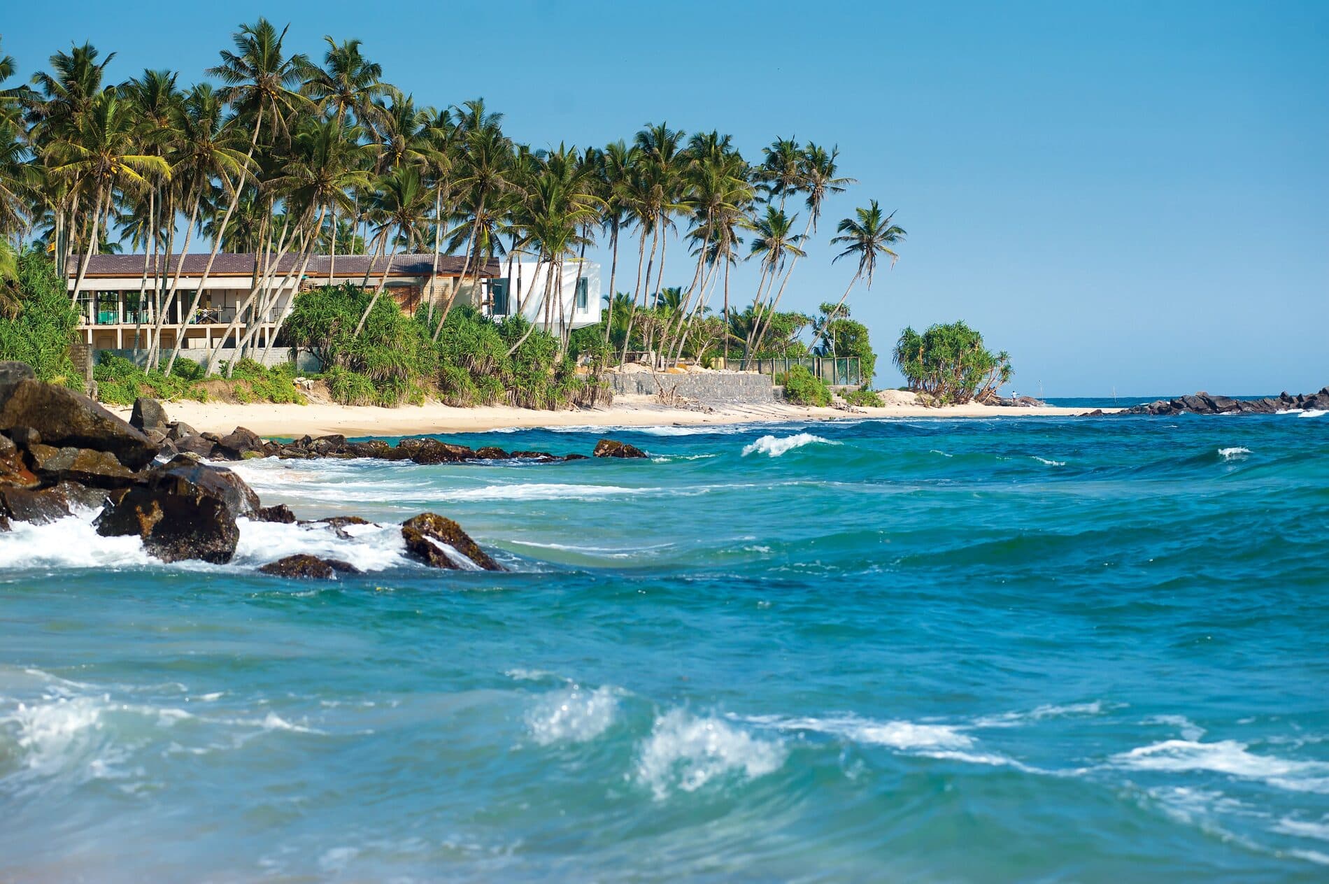 Beachside villas among palm trees, south coast