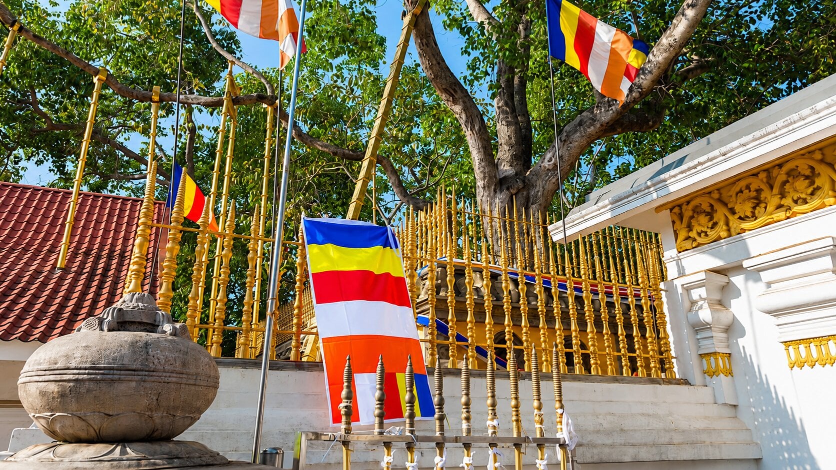 Sri Maha Bodhiya